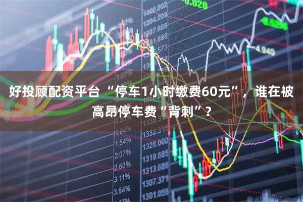 好投顾配资平台 “停车1小时缴费60元”，谁在被高昂停车费“背刺”？
